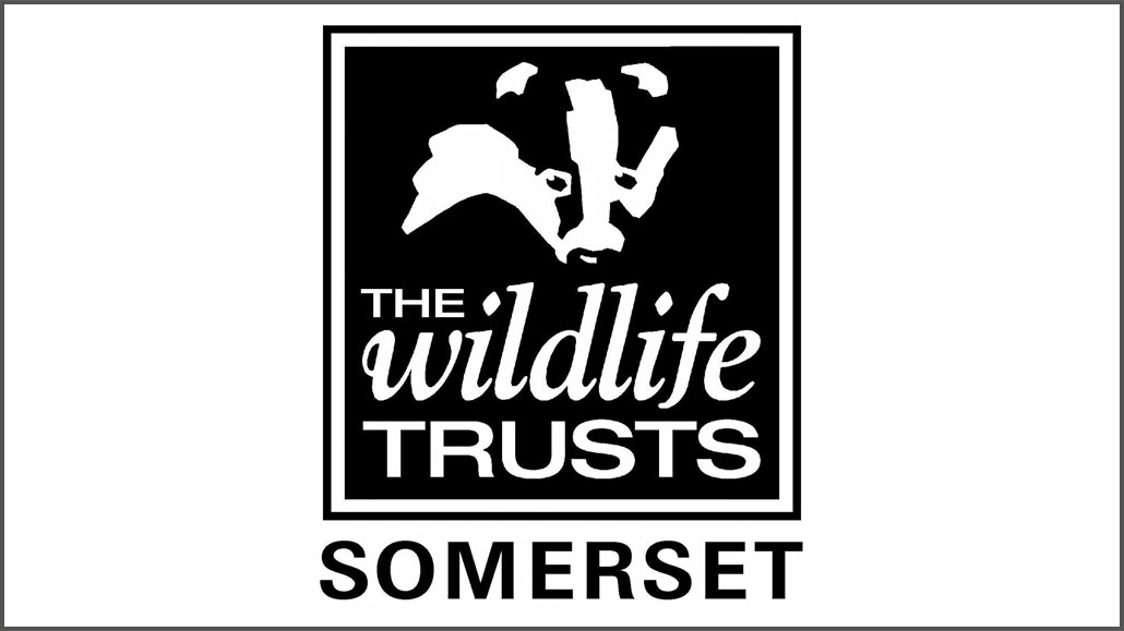 We are partnering with the Somerset Wildlife Trust