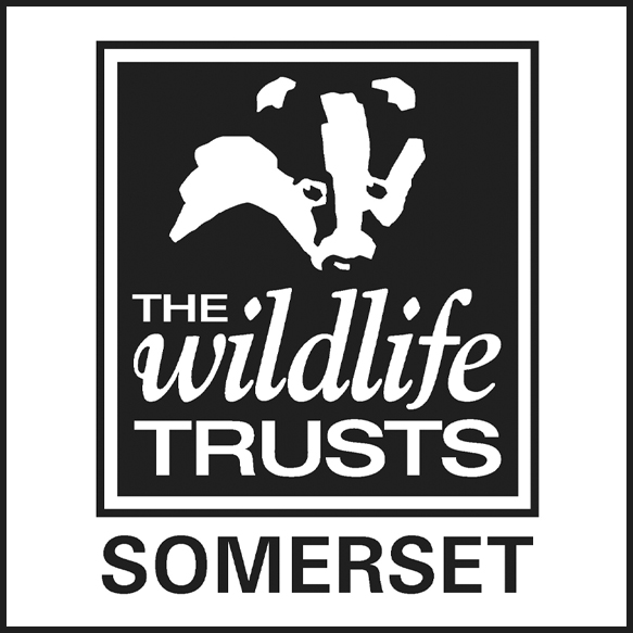Wildlife Trust and WildstreamTV