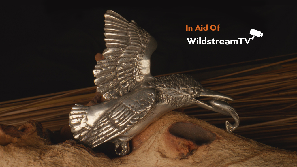 Kingfisher brooch