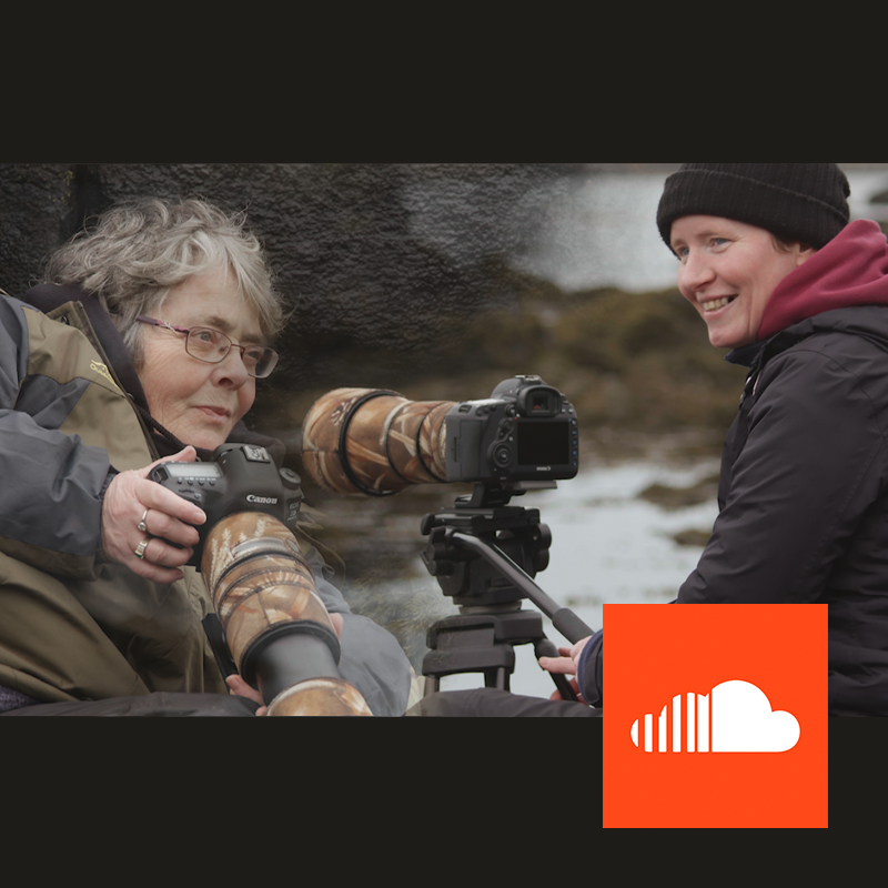 a podcast about wildlife and otters on Mull
