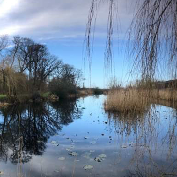 micro nature reserve