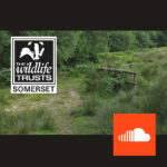 Jan Hobbs nature reserve podcast